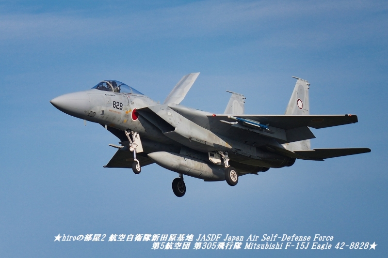 hiroの部屋2 航空自衛隊新田原基地 JASDF Japan Air Self-Defense Force 第5航空団 第305飛行隊 Mitsubishi F-15J Eagle 42-8828