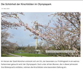 Olympiapark（オリンピアパーク）の桜が咲いた。 といふニュース